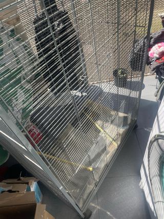 Jaula grande para pájaros