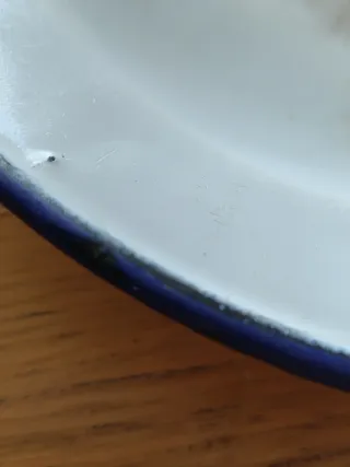 Plato esmaltado blanco y azul