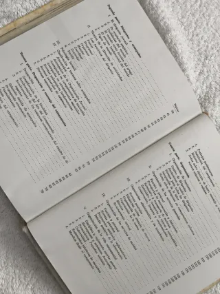 OJE AIRE LIBRE DELEGACIÓN DE JUVENTUDES AÑO 1968