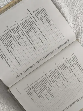 OJE AIRE LIBRE DELEGACIÓN DE JUVENTUDES AÑO 1968