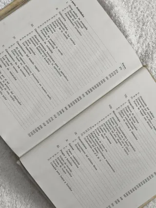 OJE AIRE LIBRE DELEGACIÓN DE JUVENTUDES AÑO 1968