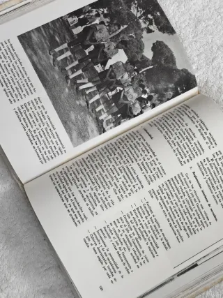 OJE AIRE LIBRE DELEGACIÓN DE JUVENTUDES AÑO 1968