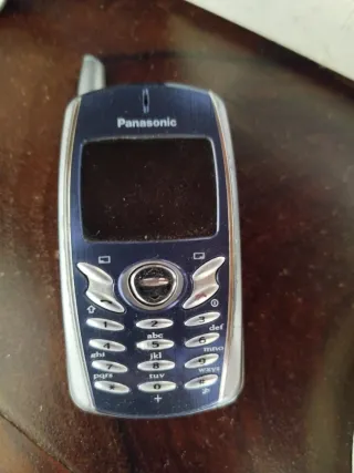 Panasonic EG-G51 M Teléfono Móvil