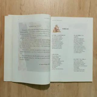 Libro Cosas de antaño. Puebla de Don Rodrigo