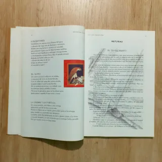 Libro Cosas de antaño. Puebla de Don Rodrigo