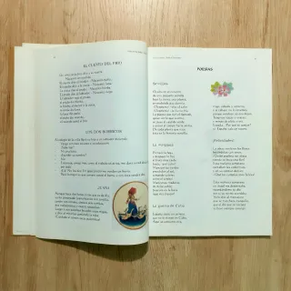 Libro Cosas de antaño. Puebla de Don Rodrigo