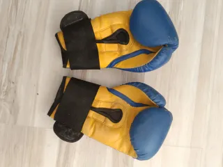 Guantes de Boxeo Buddha Sport Azul 10oz