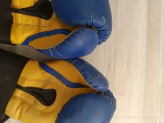 Guantes de Boxeo Buddha Sport Azul 10oz