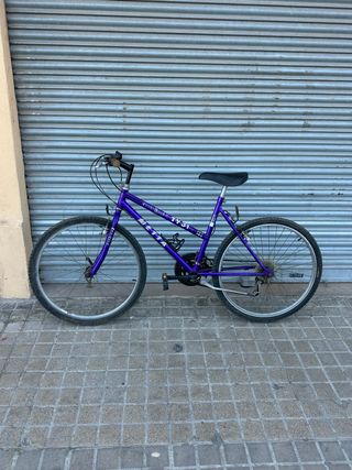 Bicicleta Morada Montaña TY31