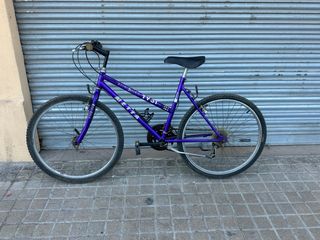 Bicicleta Morada Montaña TY31