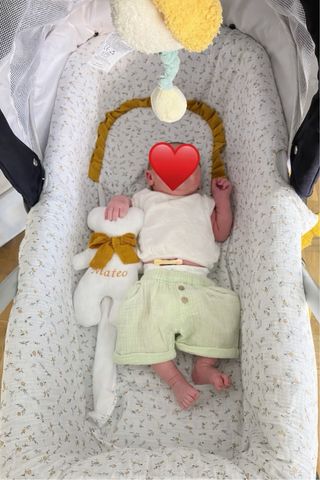 Vestidura Capazo Inglesina Aptica