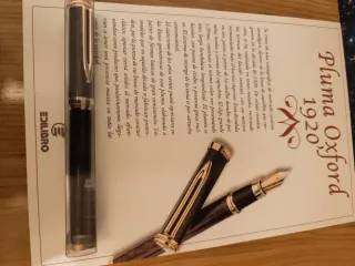 Lote de Plumas Estilográficas