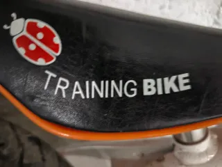 Bicicleta infantil sin pedales