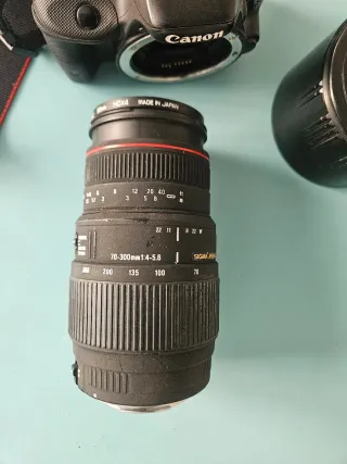 canon eos D100 + objetivo sigma 70-300mm