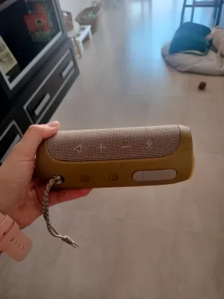 Altavoz JBL Flip 4 Beige/Marrón