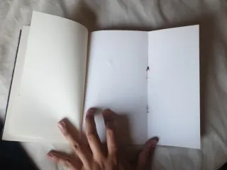 El profesor de música (Alandar) (Spanish Edition)