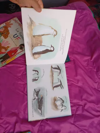 Lote 5 libros infantís