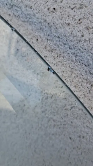 Cristal redondo para mesa