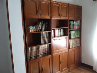 Librería de madera