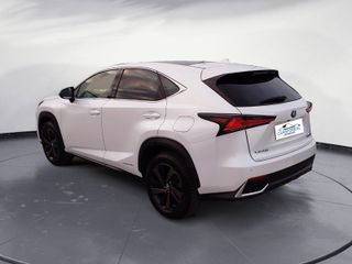 Lexus NX 2021