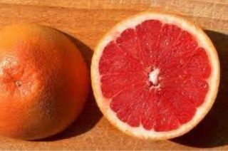 Pompelmo Rosa Star Ruby