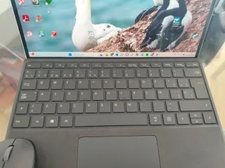 Microsoft Surface Pro 8 + Teclado y Ratón