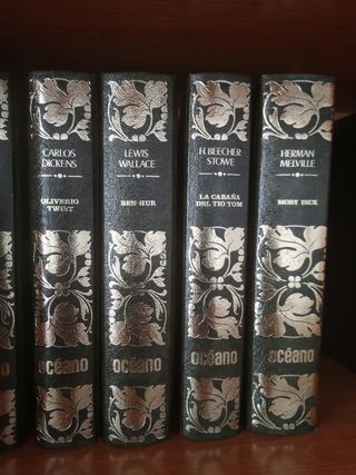 Colección 10 libros literatura