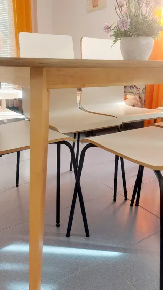 Mesa comedor 6 sillas