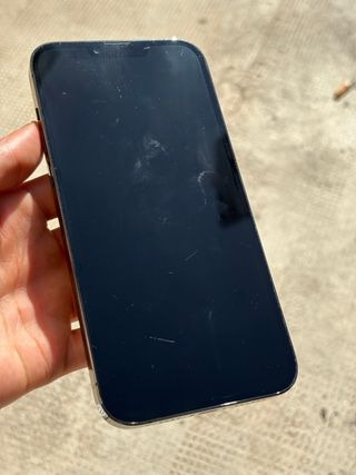 iPhone 13 Pro Max Nero/Argento