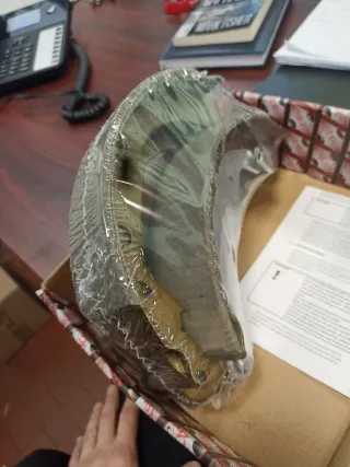 Ganasce freno Dacia Duster 1500