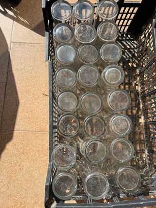 Lote 24 vasos de tubo de cristal