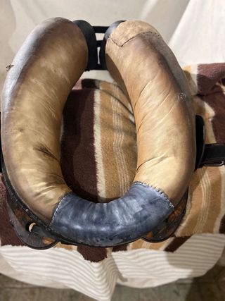 Collerón Valenciano