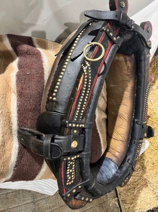 Collerón Valenciano