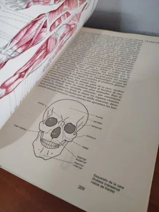 Gran Enciclopedia de la Salud