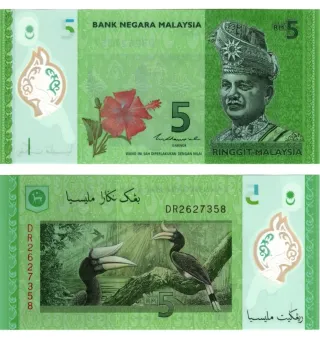 5 billetes diferentes por secados pregunta precio