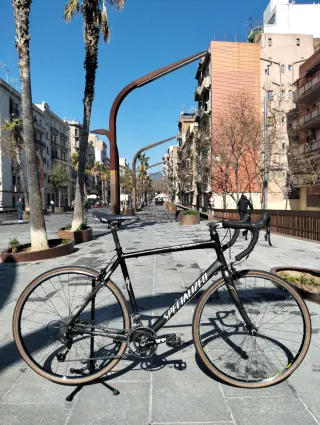 Tienda: Bicicleta Specialized Carbono Carretera