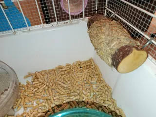 Jaula grande hámster. Con Muchos complementos