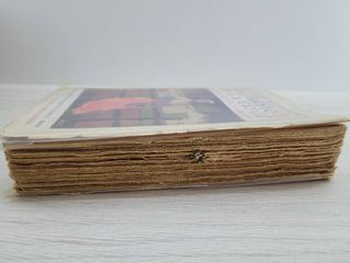 NOVELA CURRITO DE LA CRUZ