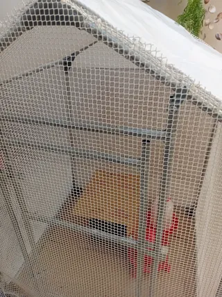 Casa para gallinas y animales pequeños