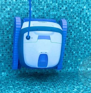 Limpiafondos Dolphin S100