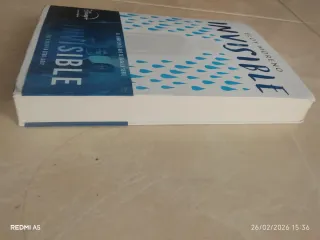 Invisible / Invisible (Spanish Edition)
