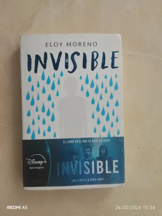 Invisible / Invisible (Spanish Edition)