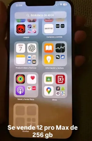 iPhone 12 Pro Max 256 GB