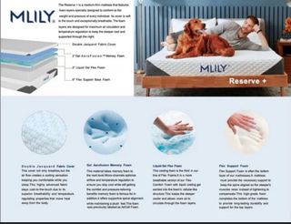 Oportunidad: MLILY Stark 200x200 + somier | King