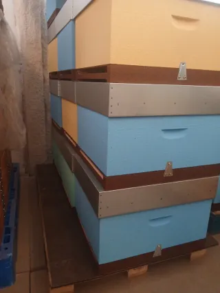 Colmenas Langstroth y Dadant de madera