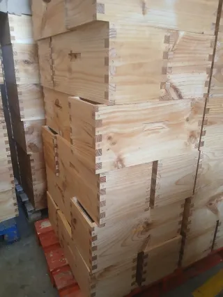 Colmenas Langstroth y Dadant de madera