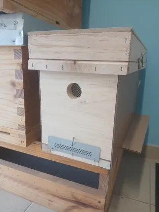 Colmenas Langstroth y Dadant de madera