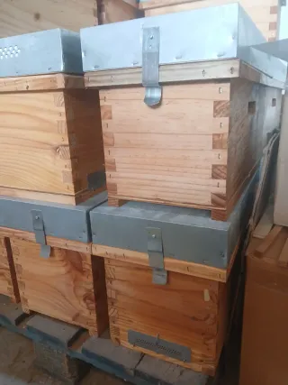 Colmenas Langstroth y Dadant de madera