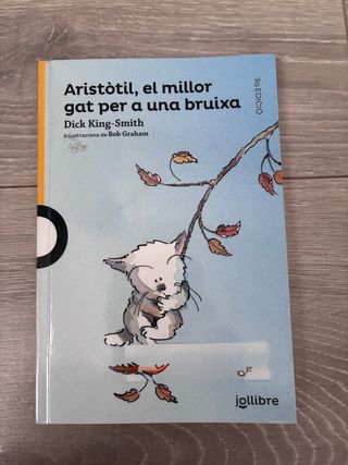 Aristòtil, el millor gat per a una bruixa