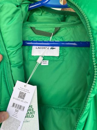 Chaqueta Lacoste Verde